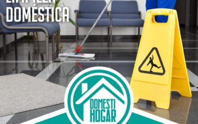 Agencia Doméstica de Limpieza