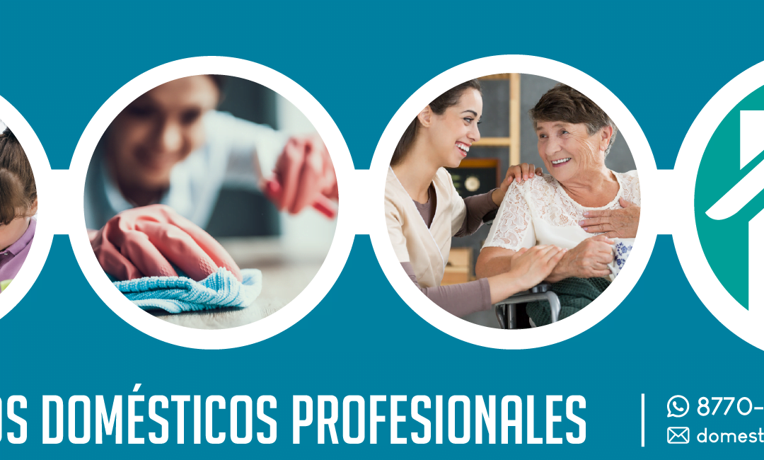 ¿Soluciones domésticas? ¡No busque más!