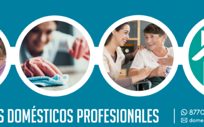 ¿Soluciones domésticas? ¡No busque más!